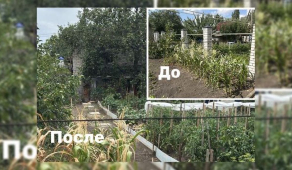 Мужчина из Россоши чуть не потерял отпуск за границей из-за спорного забора