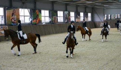 В Нижнем Новгороде открыли манеж для занятий конным спортом