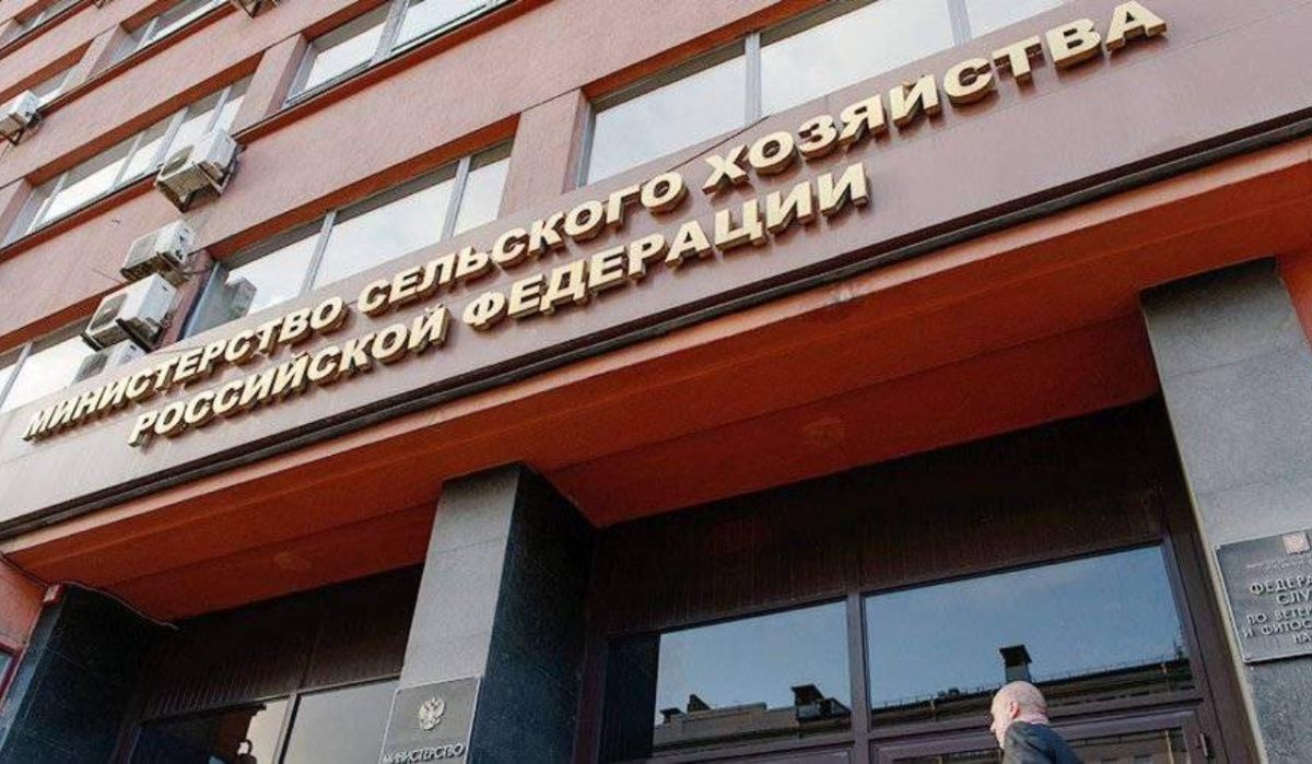 Какой выход предлагает Минсельхоз, когда цены на яйца упали до минимума, а производители в убытке?