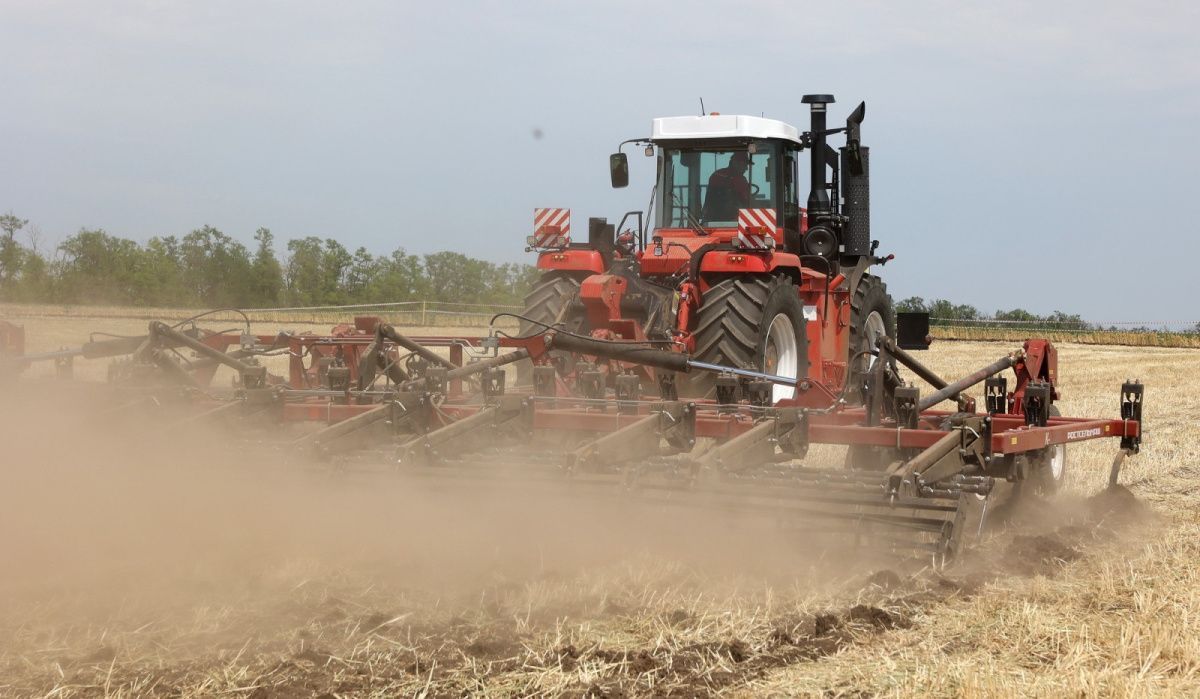 В Ростовской области в десяти районах из-за засухи вводят режим ЧС