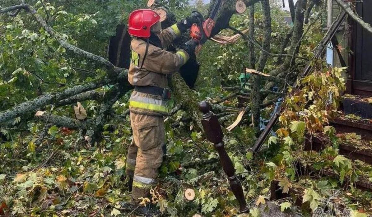 В Петербурге увеличилось количество пострадавших от шторма