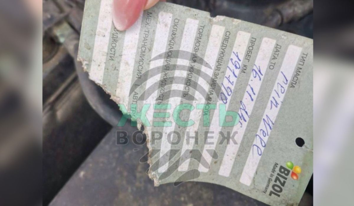 Воронежцы пожаловались на нашествие крыс