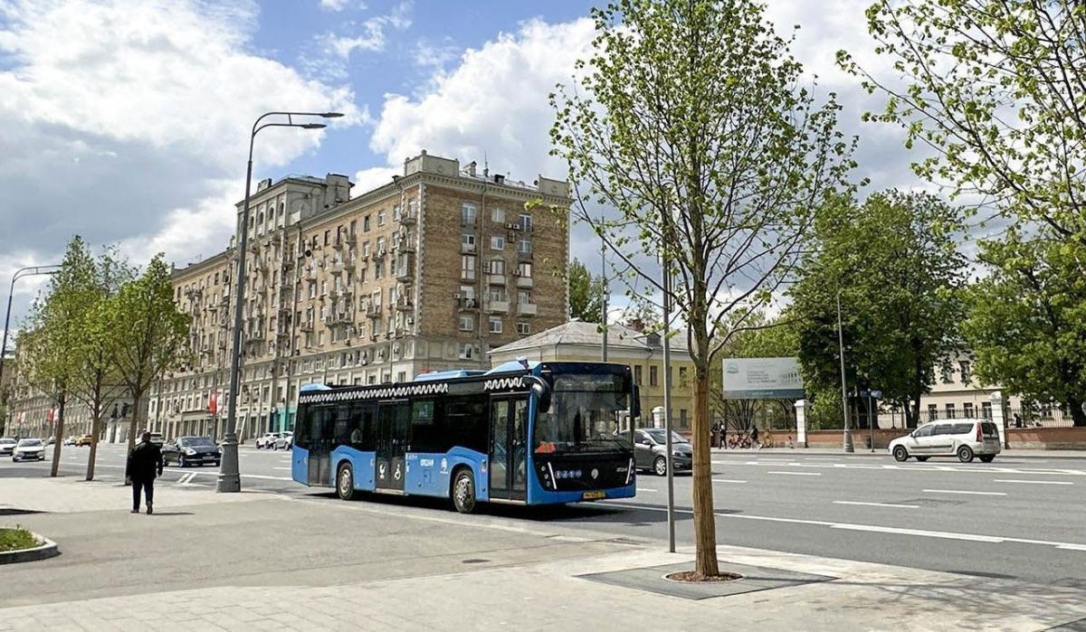 В Москве ежегодно будут высаживать около восьми тысяч крупных деревьев