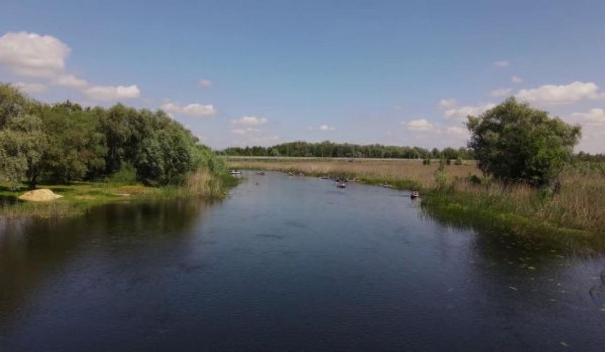 В воронежском Битюге впервые в регионе применят биологическую расчистку