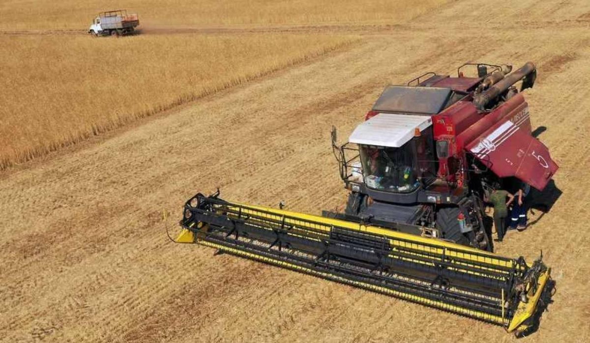 Ленобласть повысит субсидии на сельхозтехнику до 1 млрд рублей ежегодно