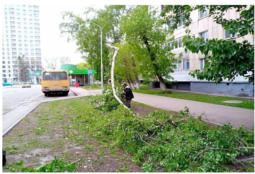 В Уфе ветер повредил автомобили и повалил деревья