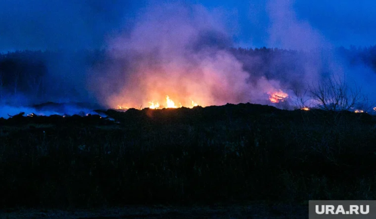 Росельхознадзор, возможно, &quot;сожгут&quot; ещё одну птицефабрику России