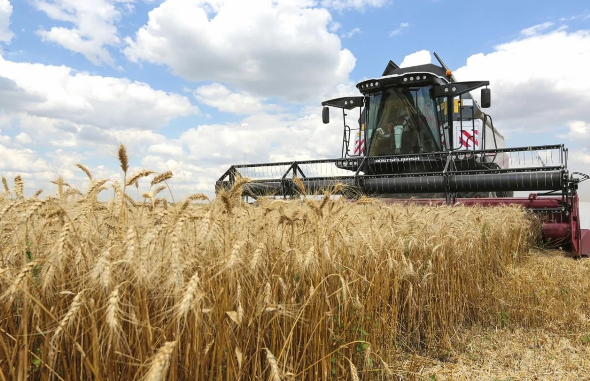 Минсельхоз: прогноз урожая зерна на 2025 год остается неизменным