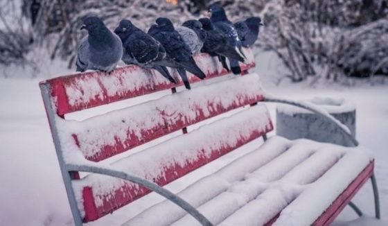 В Нижнем Новгороде ожидаются 20-градусные морозы