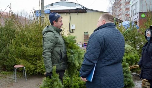 В Нижнем Новгороде закрыли незаконные точки продажи ёлок 