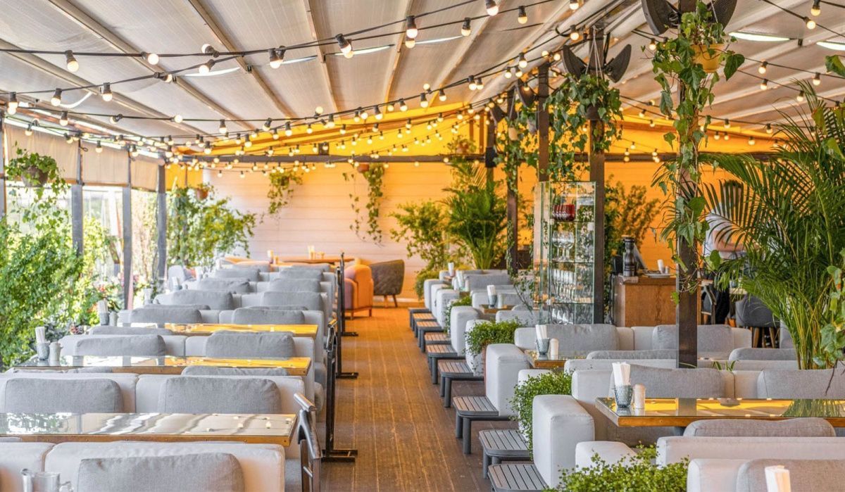 В 2025 году в столице отмечен рекордный рост числа кафе и ресторанов