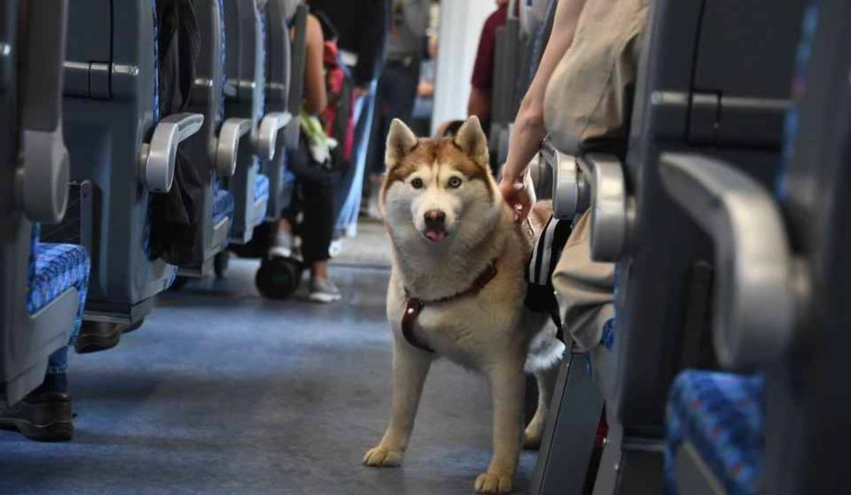 Новое расписание электричек вводится в Челябинской области