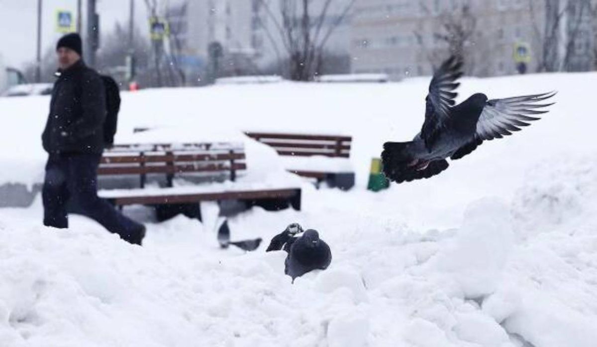 Циклон &quot;Ваня&quot; принесёт в Москву новые рекордные сугробы