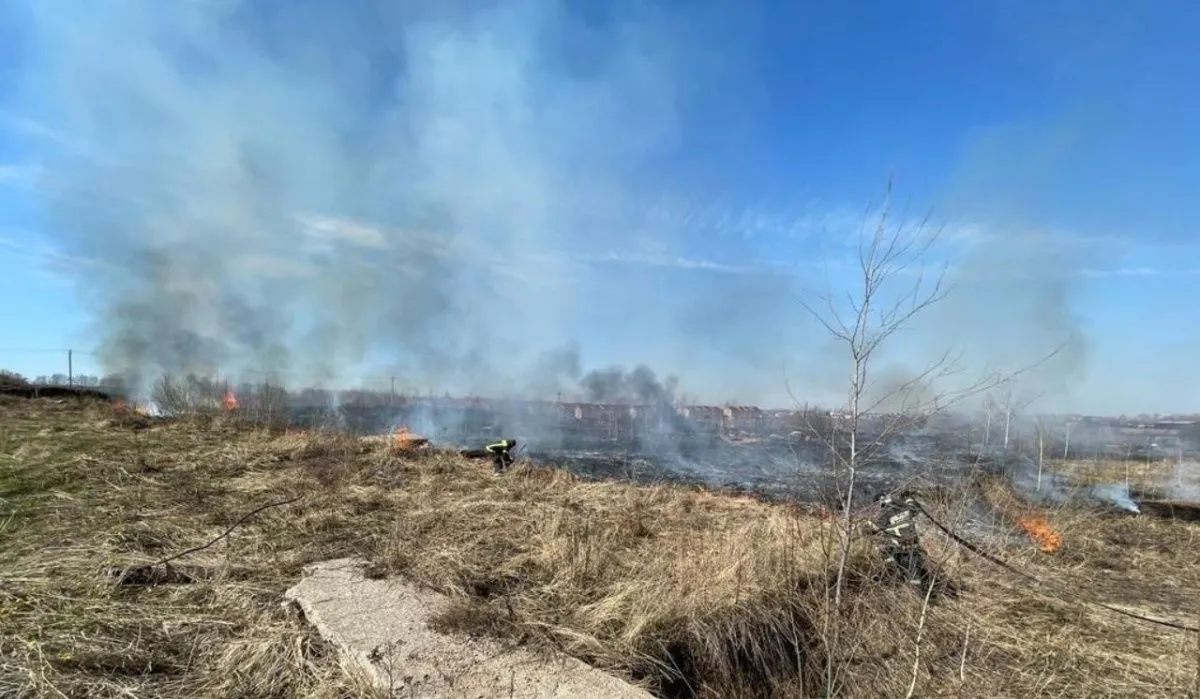 В Нижегородской области зафиксировали два природных пожара
