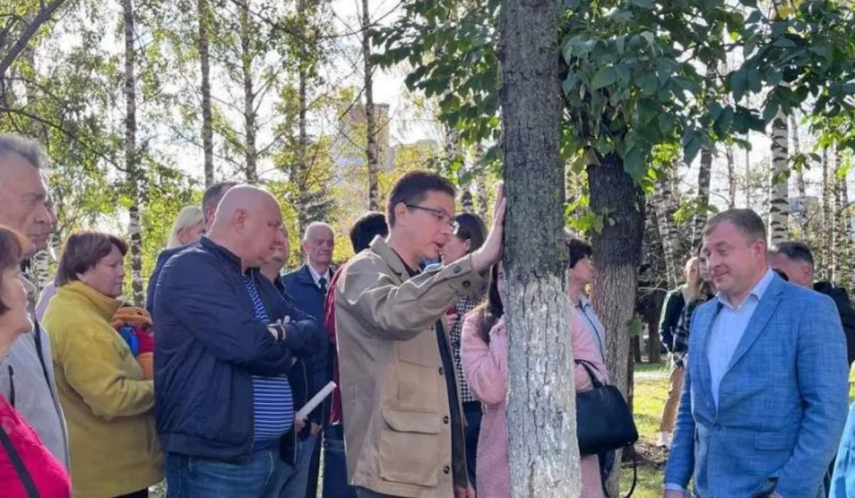 Генеральная прокуратура начала разбираться из-за вырубки деревьев в Нижегородской области